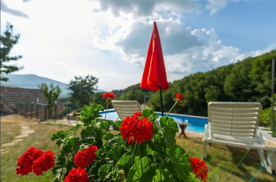 Vila Honey House Grabovac  Exteriér fotografie