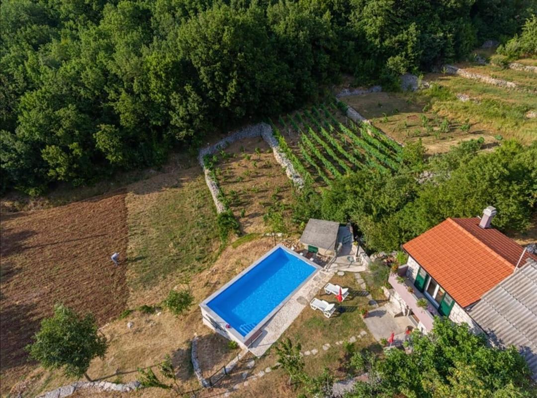 Vila Honey House Grabovac  Exteriér fotografie